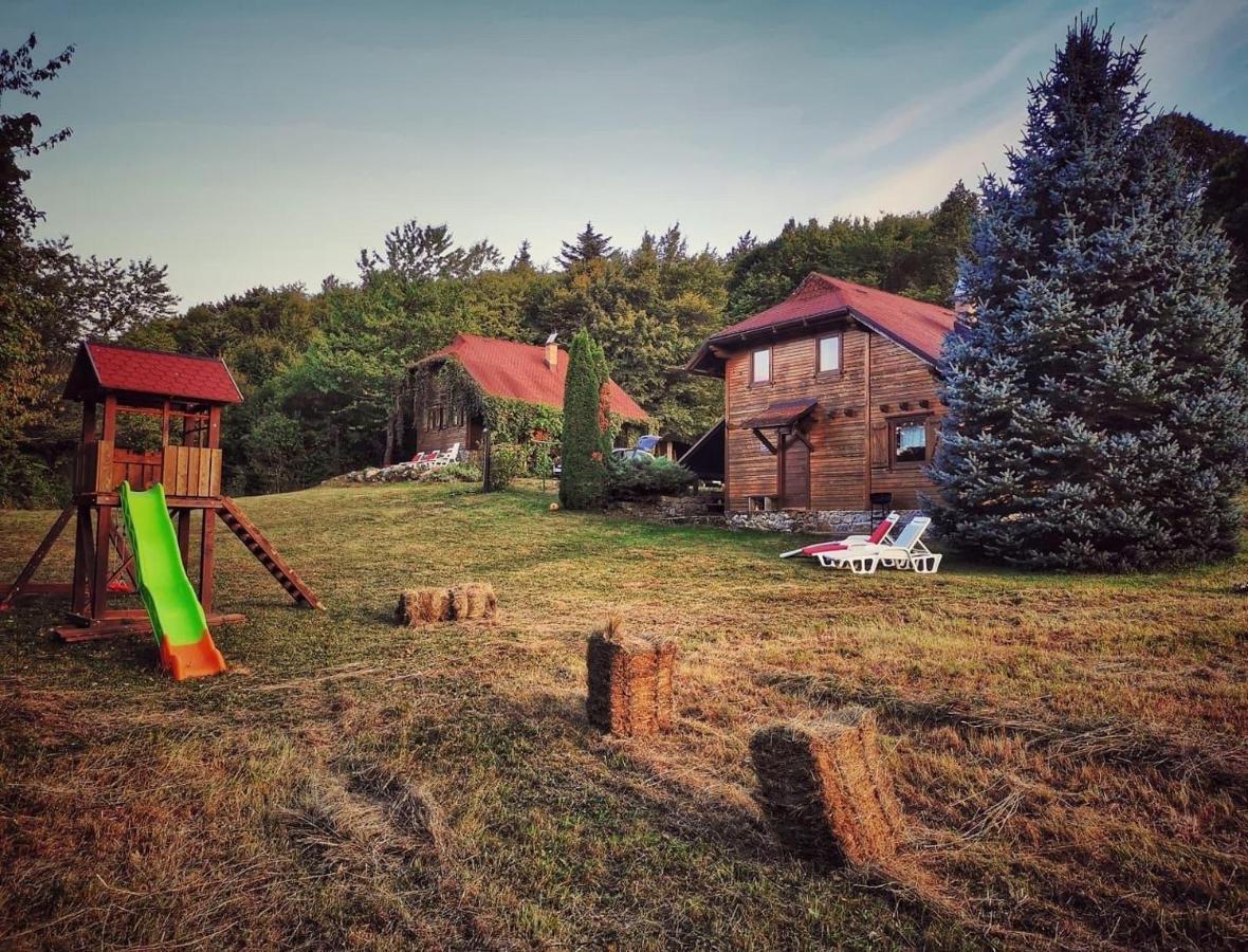 Woodenhouse With Two Apartments Otocac Luaran gambar