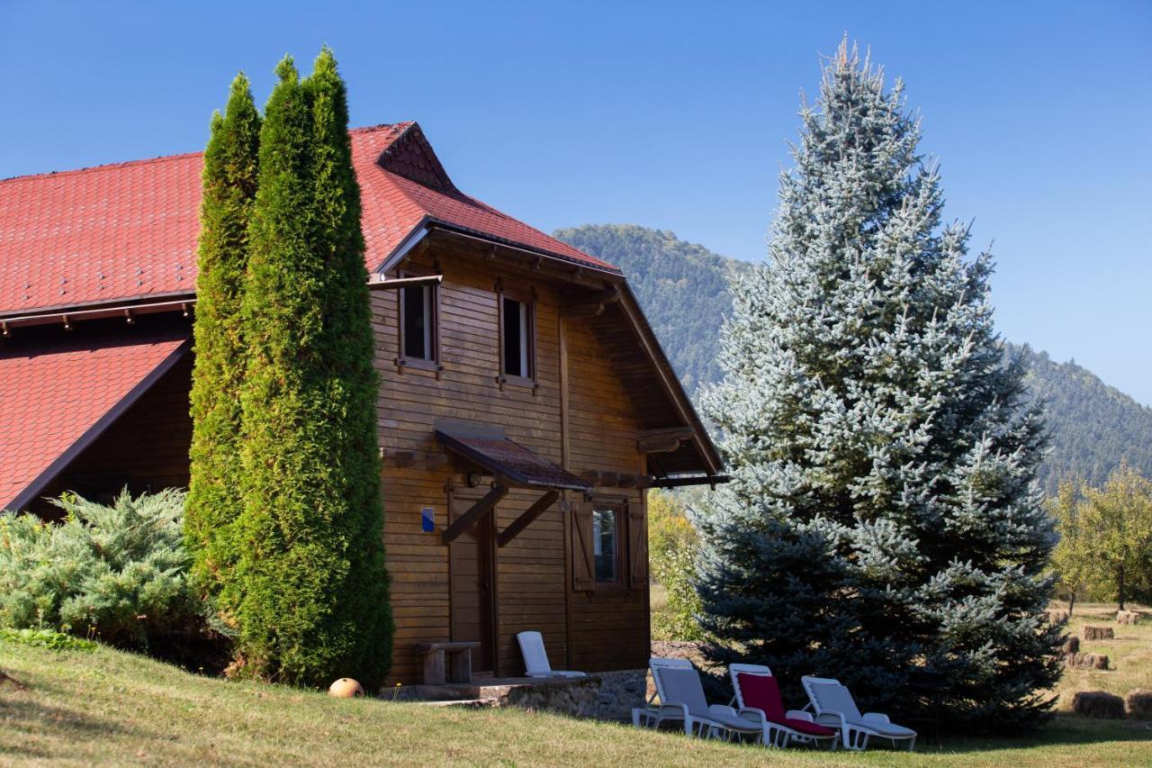 Woodenhouse With Two Apartments Otocac Luaran gambar